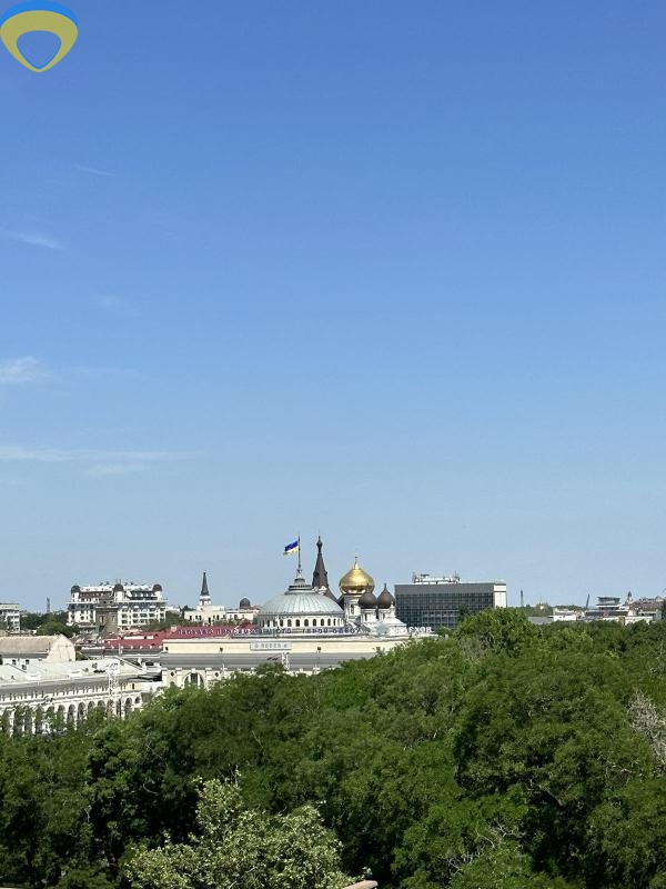 продажа однокомнатной квартиры номер A-173709 в Приморском районе, фото номер 7